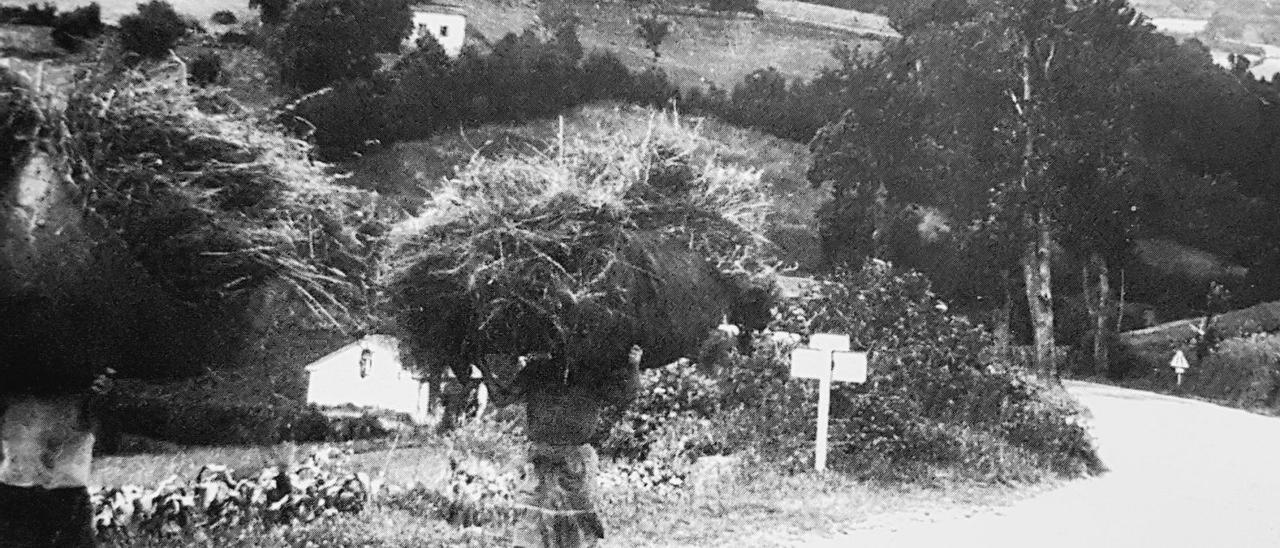 Dos mujeres de Armal (Boal), cargando hierba en una imagen antigua.