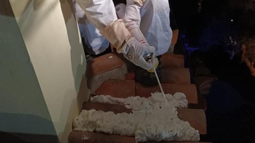 На Тенеріфе пожежники масово рятують бджолині рої в житлових районах