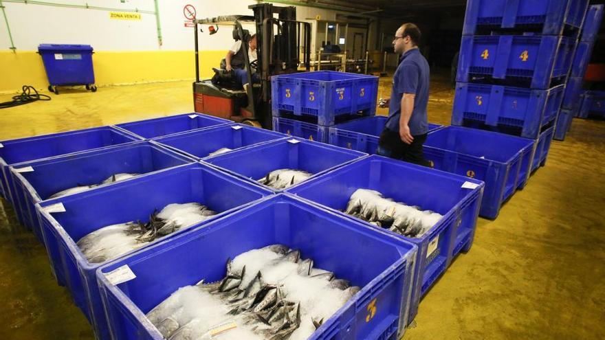 Cajas de bonito en la rula de Avilés