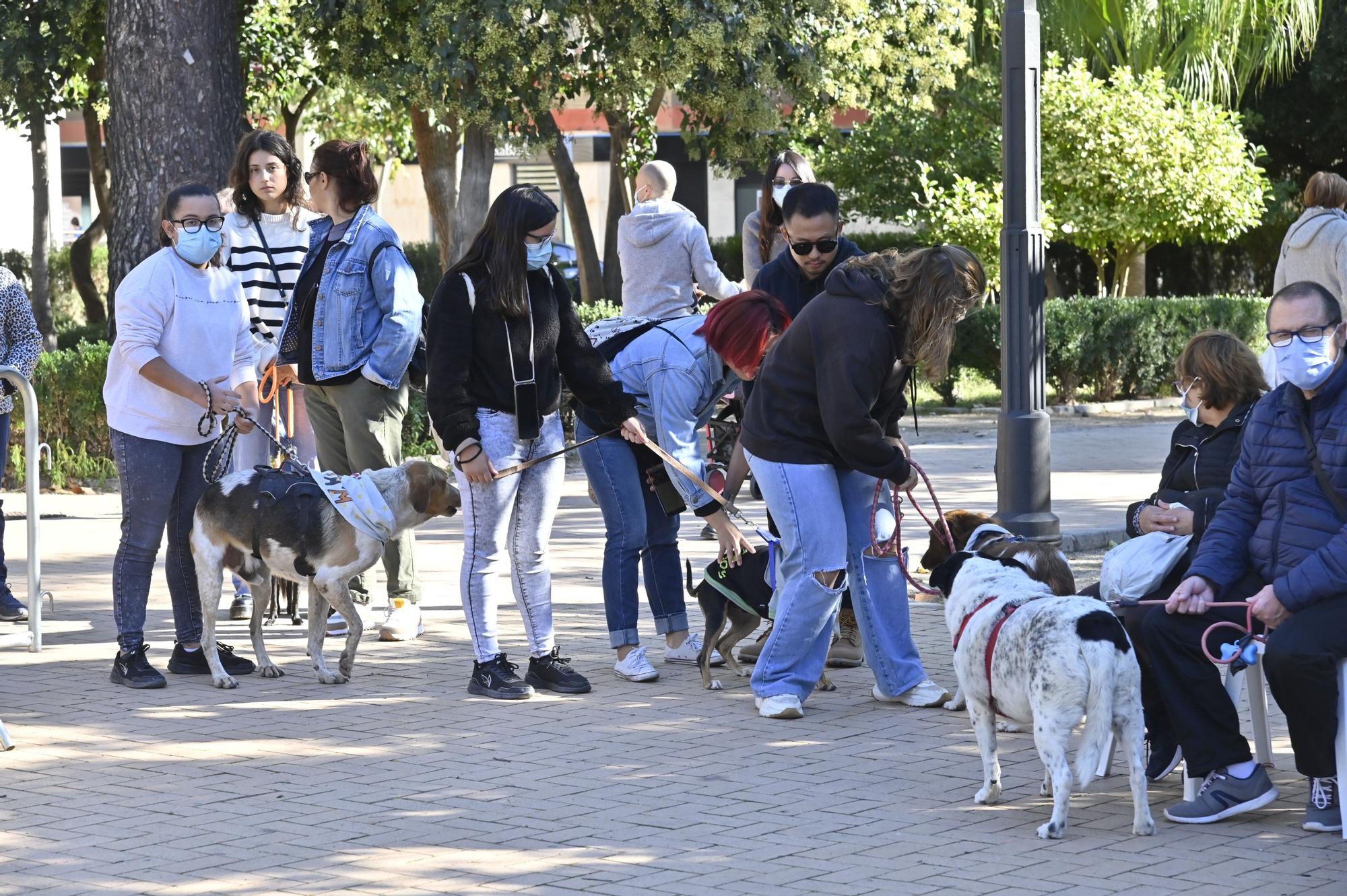 Primera jornada del VI Festival de la Adopción de Castelló