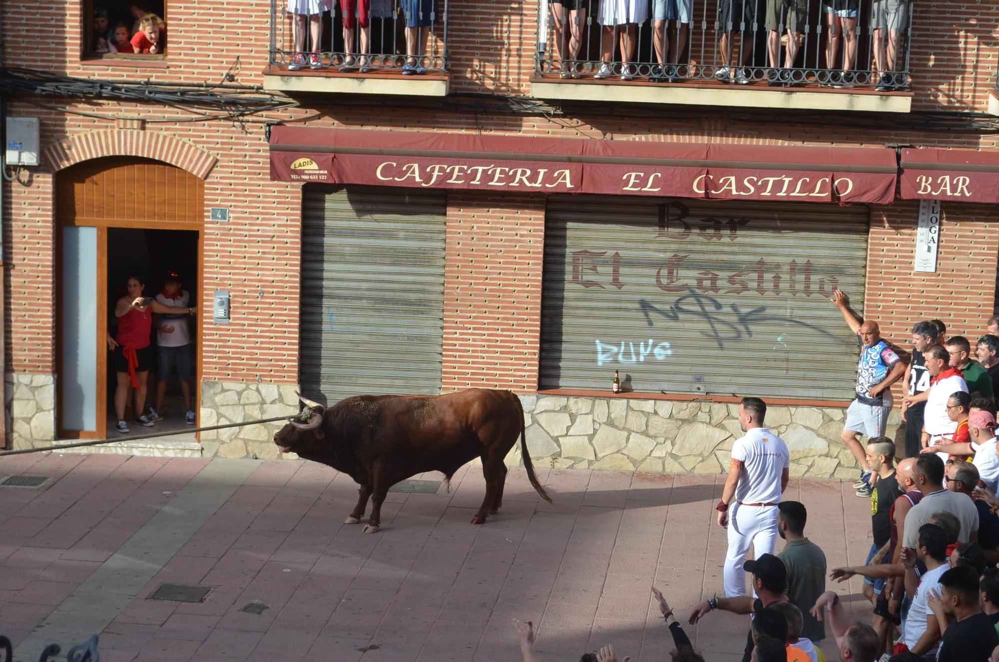 Así ha sido la carrera del torito Espléndido en Benavente