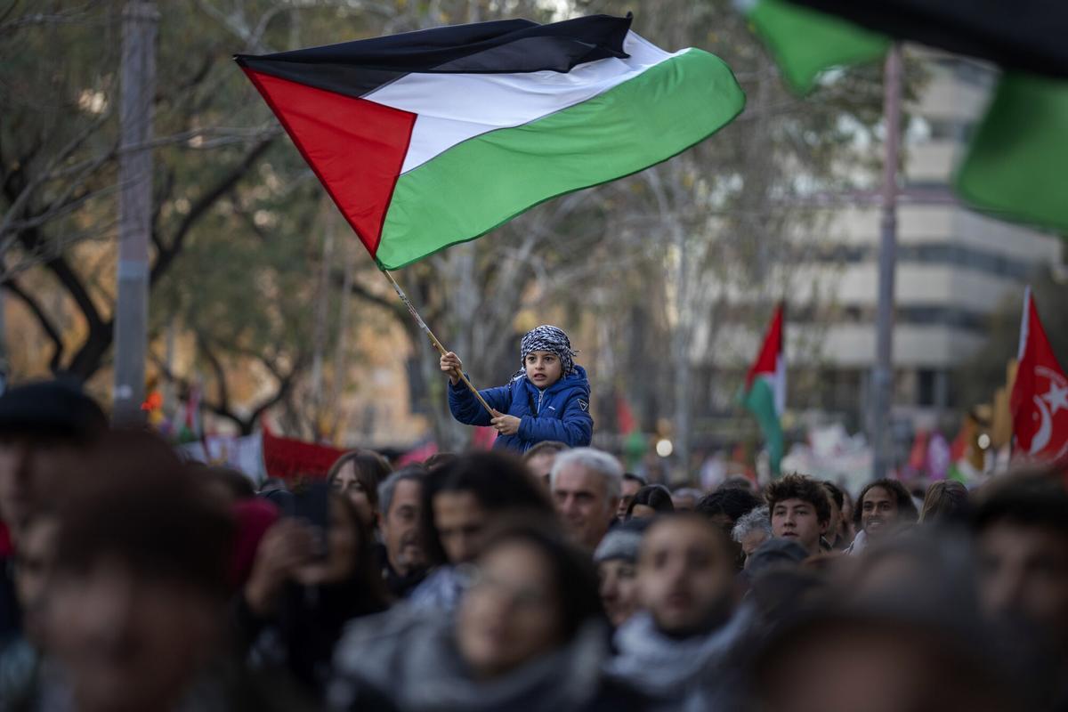 El 82% dels espanyols creu que Israel està cometent un genocidi a Gaza El 82% dels espanyols creu que Israel està cometent un genocidi a Gaza