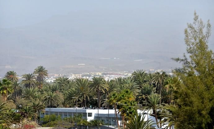 22/02/2019 MASPALOMAS, SAN BARTOLOMÉ DE TIRAJANA. Imágenes de calima en el Sur, tomadas desde el Faro de Maspalomas. SANTI BLANCO