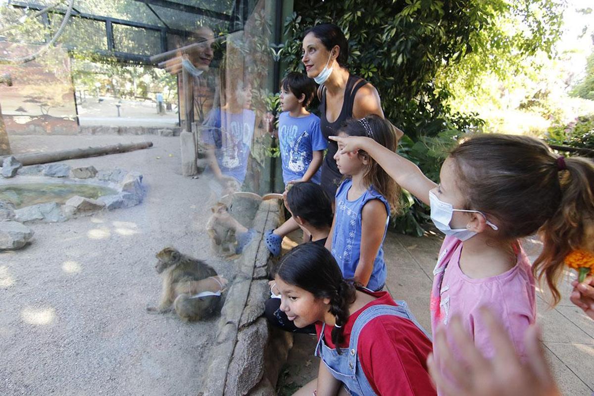 Reapertura del Zoológico tras el estado de alarma