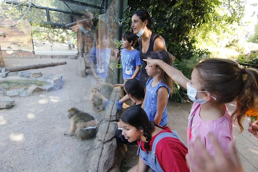 Reapertura del Zoológico tras el estado de alarma