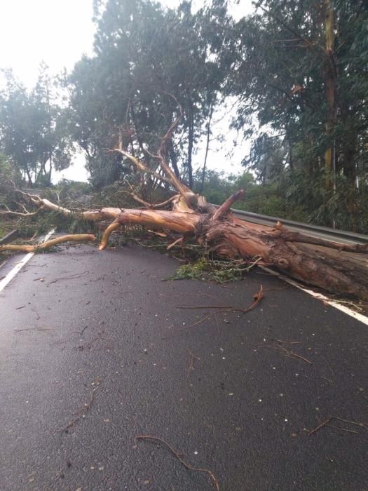 Temporal en Gran Canaria (12/2/2017)