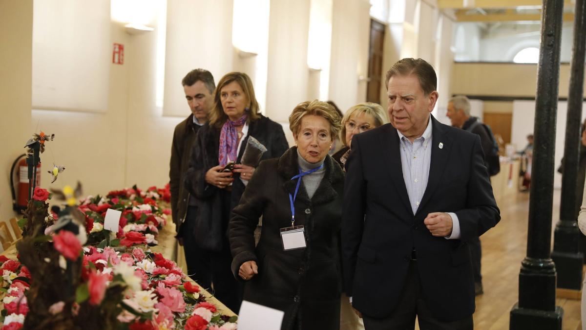 EN IMÁGENES: El color de las camelias alegra Oviedo