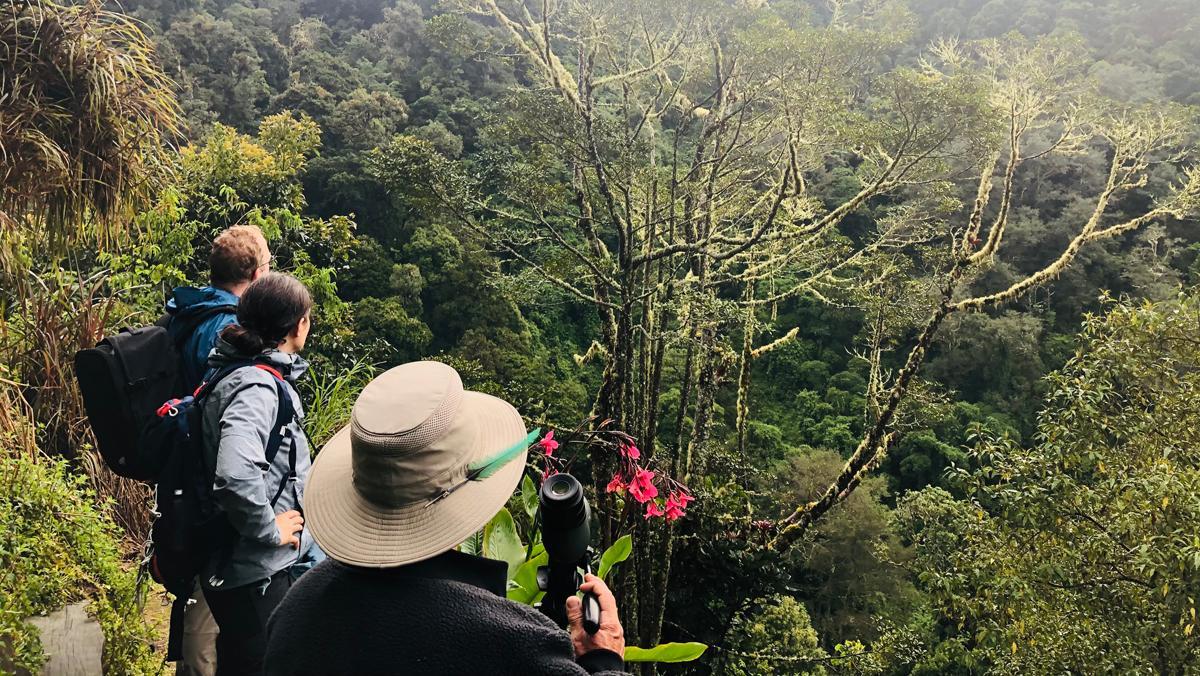 Excursión en busca del quetzal, en el interior de Costa Rica.