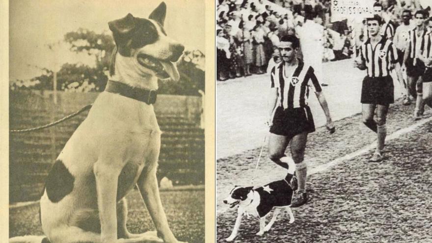 El perro que hizo invencible a un equipo de fútbol de Brasil: «Era él quien ganaba los partidos»