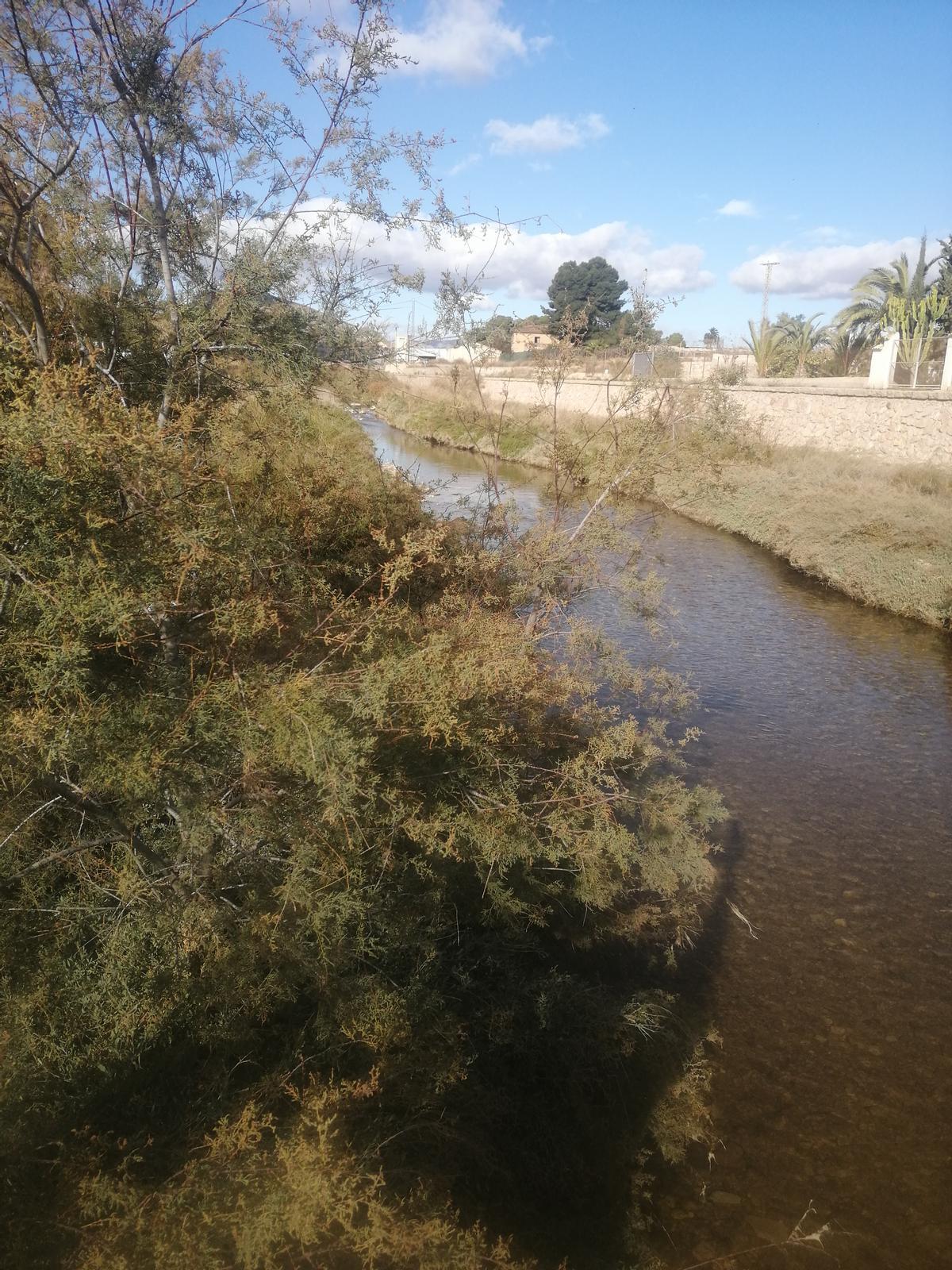 Una imagen del río Vinalopó