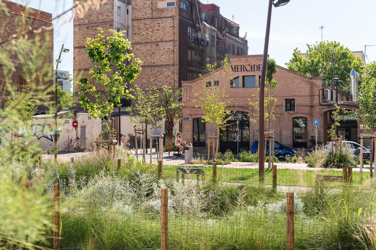 Proyecto de regeneración paisajística del entorno de la Estación del Cabanyal, premio nacional en 2025.