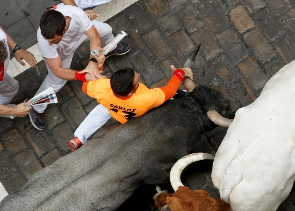 Los toros de José Escolar protagonizan el ...