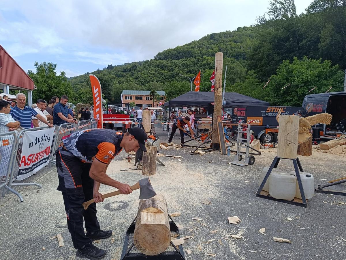 Competición de corte de tronco.