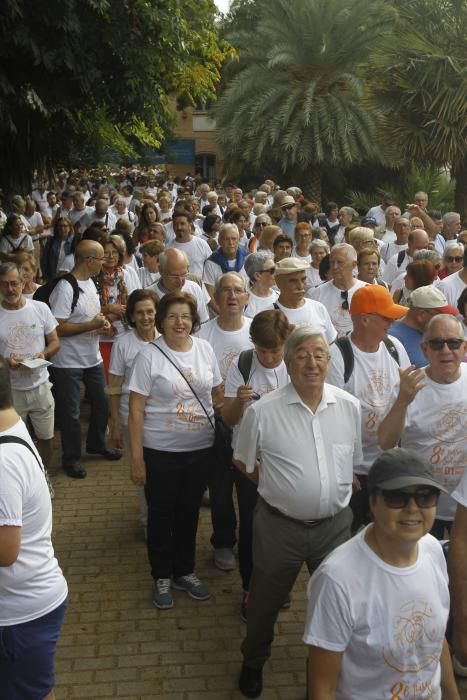 Paseo saludable por el Día Internacional de las Personas Mayores