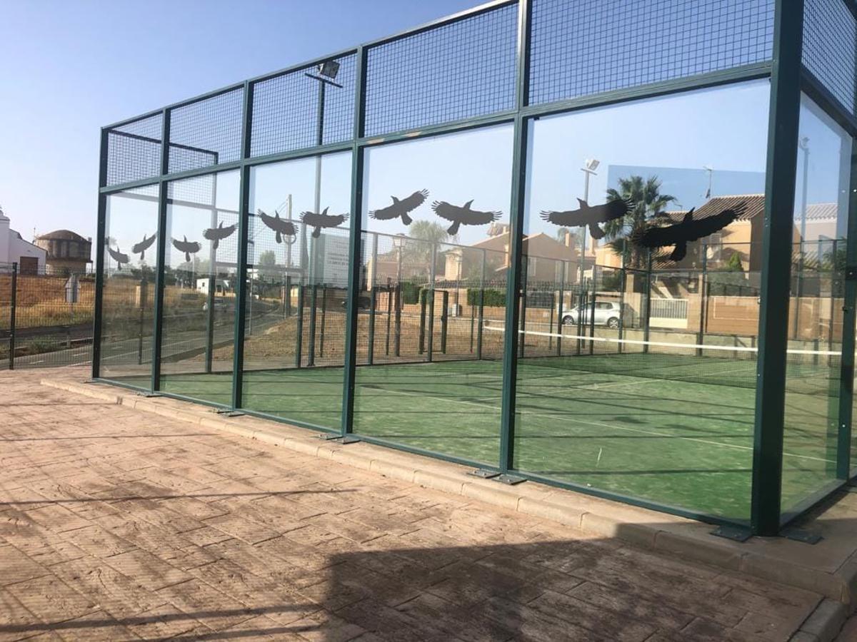 Adhesivos de aves rapaces en las cristaleras de una pista de pádel de Villanueva del Ariscal (Sevilla).