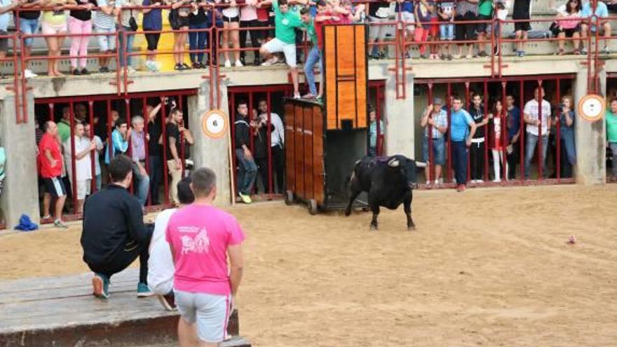 Las peñas comparten protagonismo con los toros en Orpesa