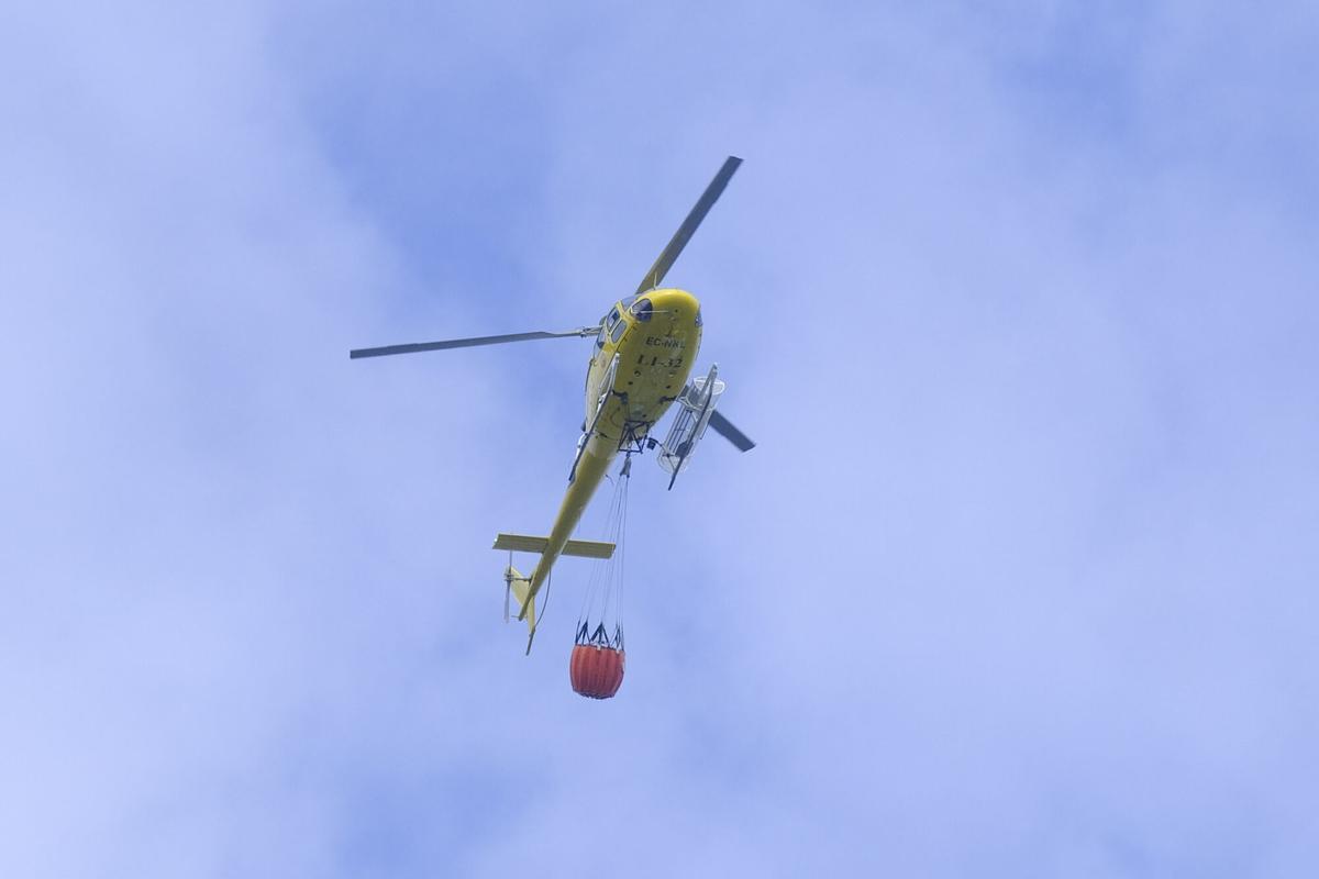 Simulacro de incendio forestal en Moya