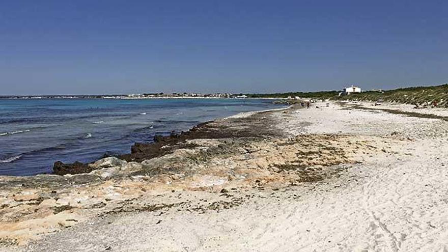 Inicio de la playa de sa Ràpita, aún sin muchos bañistas y sin servicios de hamacas o sombrillas.