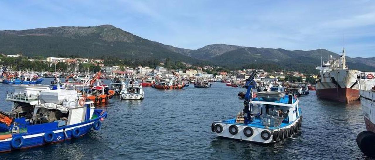 Algunas de las embarcaciones auxiliares de acuicultura desplazadas ayer al puerto de A Pobra. |   //  FDV