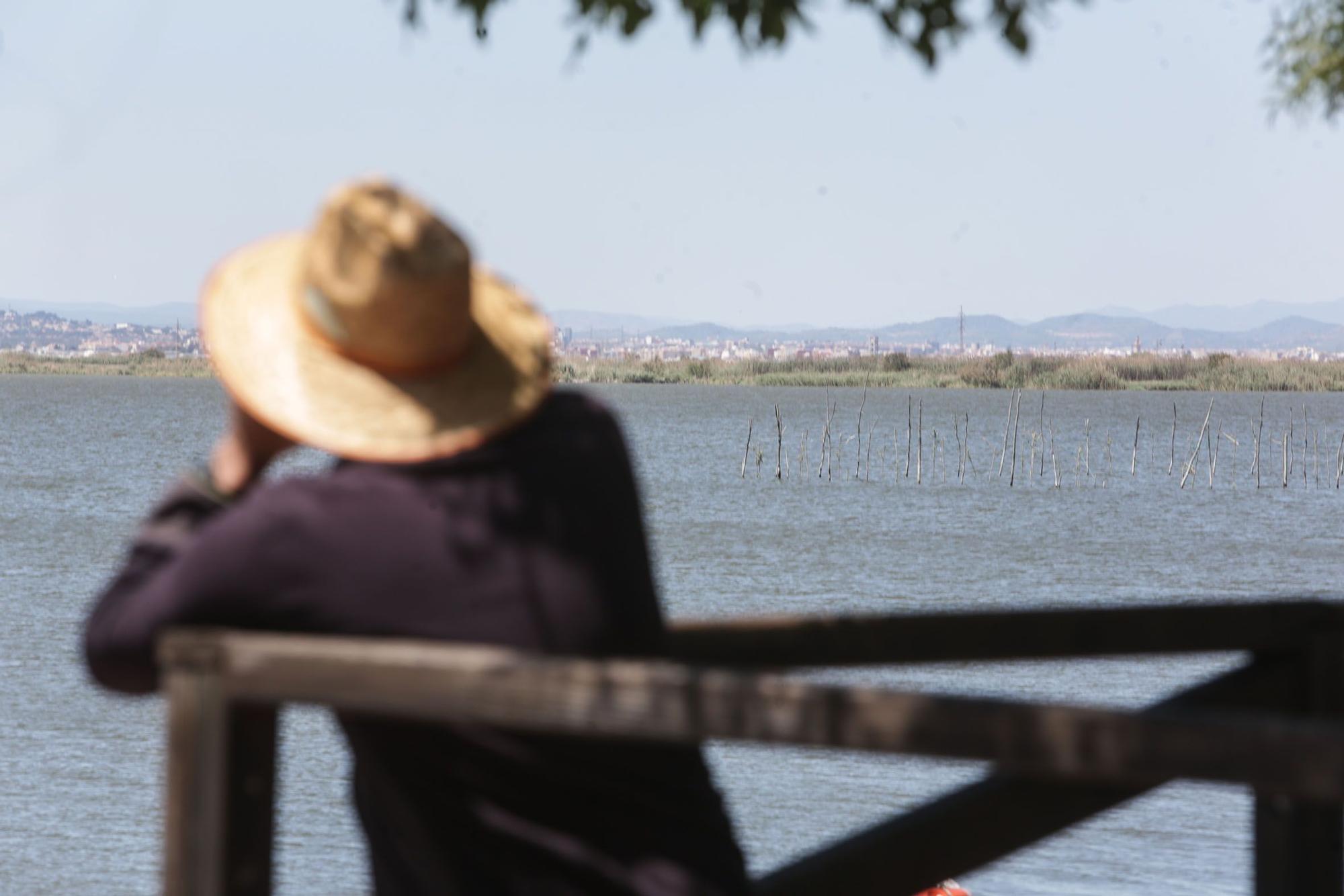 Las mejores imágenes de l'Albufera en el Día Mundial de los Humedales