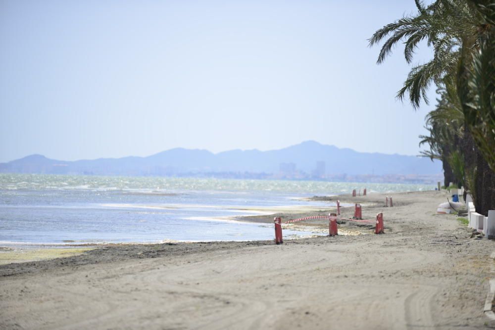 Limpieza del Mar Menor en Los Alcázares