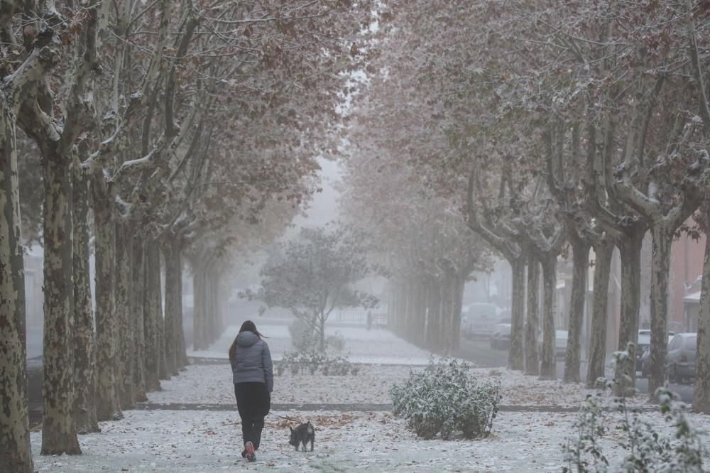 Zamora, cubierta de blanco por la cencellada