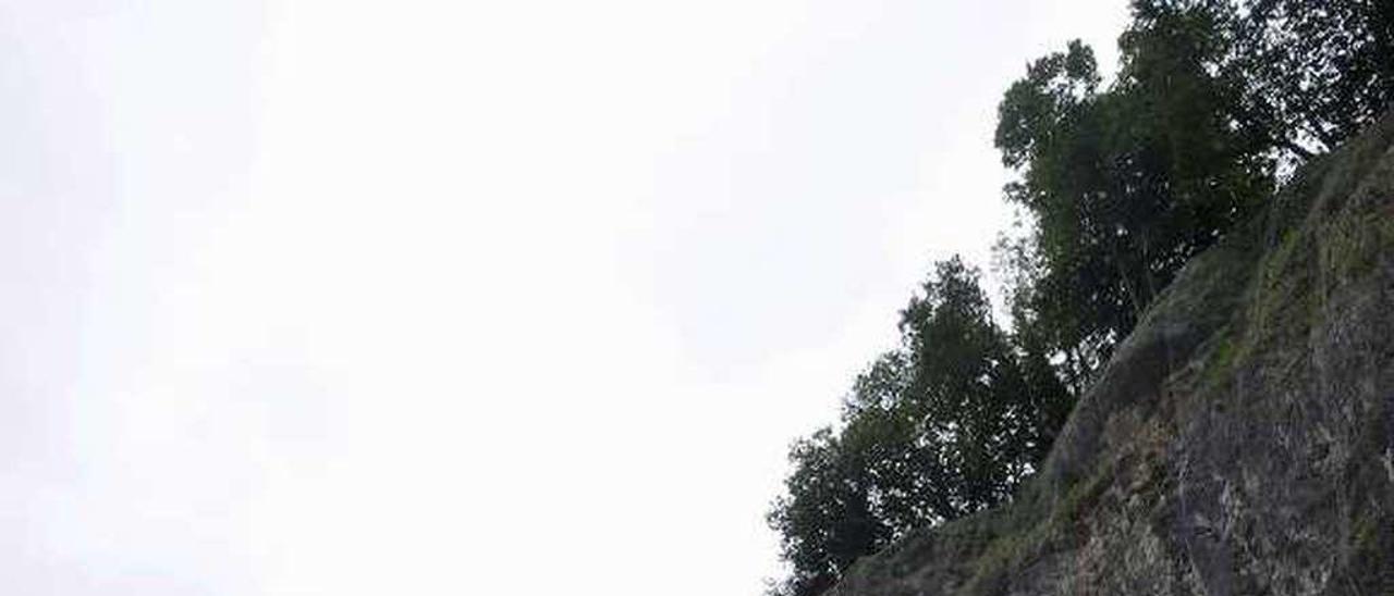 La malla metálica sobre un talud de la carretera, en Mieres.