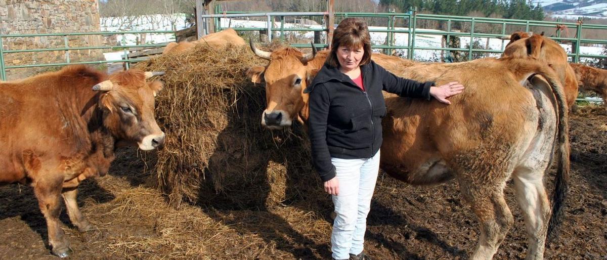 Mercedes Cruzado, con sus reses.