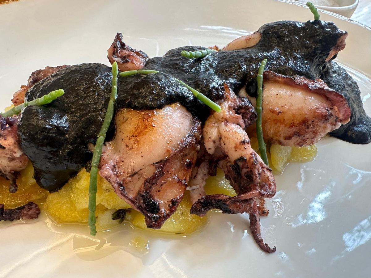 Puntillas con su tinta