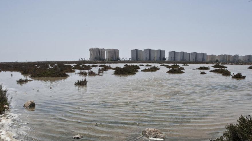 El Consell proyecta construir una vía verde entre Vinaroz y Pilar de la Horadada