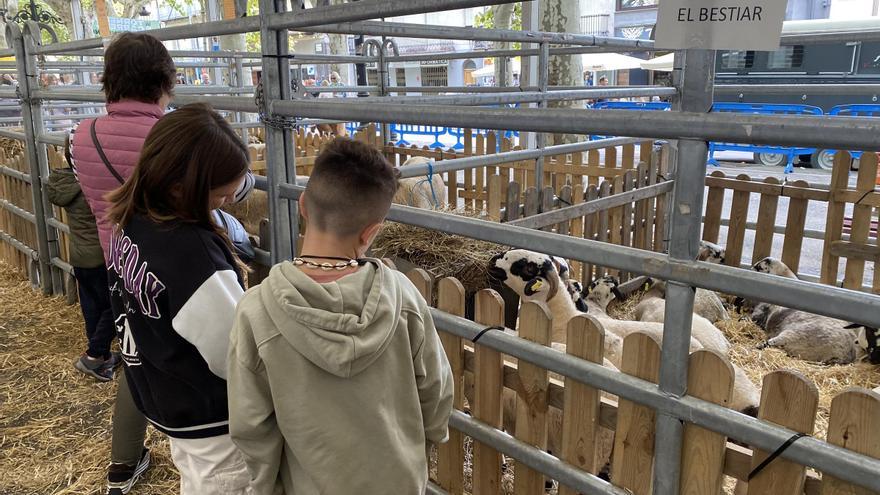 Les fortes pluges obliguen a reubicar alguns actes de la Fira de Santa Tecla de Berga