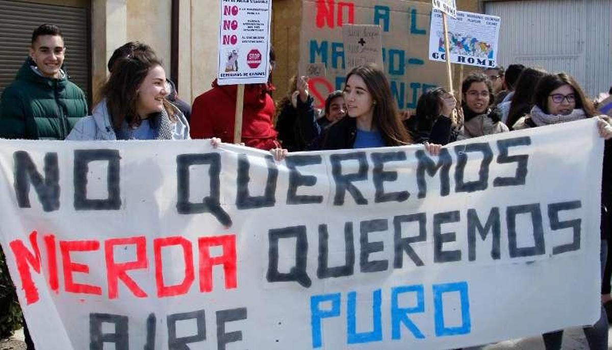 "Las macrogranjas minan nuestro futuro"