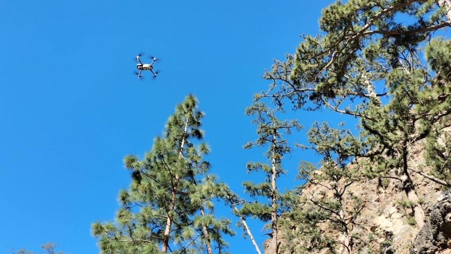 The Cabildo de Tenerife puts two drones into operation to monitor the natural environment