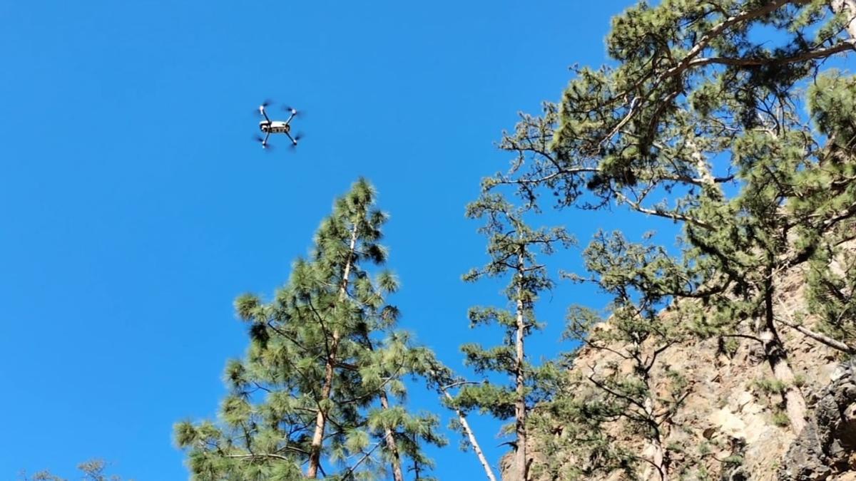 El Cabildo de Tenerife pone en funcionamiento dos drones para vigilar el medio natural