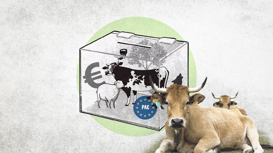 El campo asturiano perdió en 23 años (desde las últimas elecciones agrarias) a más de dos tercios de sus ganaderos