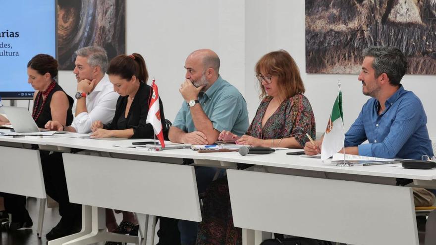 La consejera insular de Patrimonio, Rosa Elena García, junto al arqueólogo Juan Carlos Hernández. | EL DÍA
