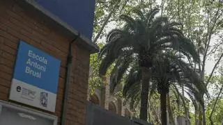 La inquietud por la caída de árboles obliga a revisar las palmeras de un colegio de Barcelona