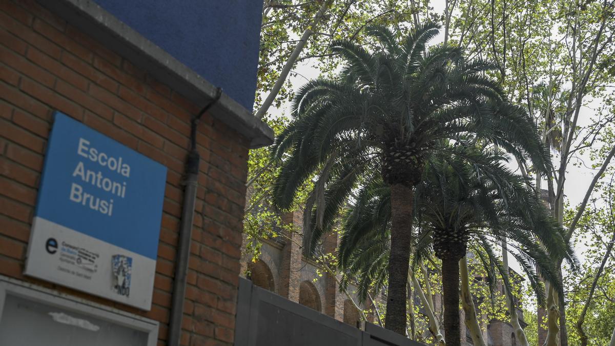 Unas palmeras sobresalen tras la tapia de la escuela Antoni Brusi, en Barcelona.