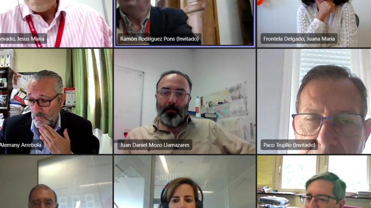 Imagen de la reunión virtual celebrada por las Cátedras de la Fundación Cepsa.