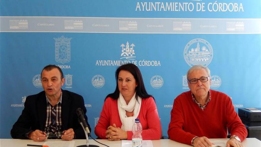 IU y PSOE exigen que se acelere el ritmo de la obra de Magisterio