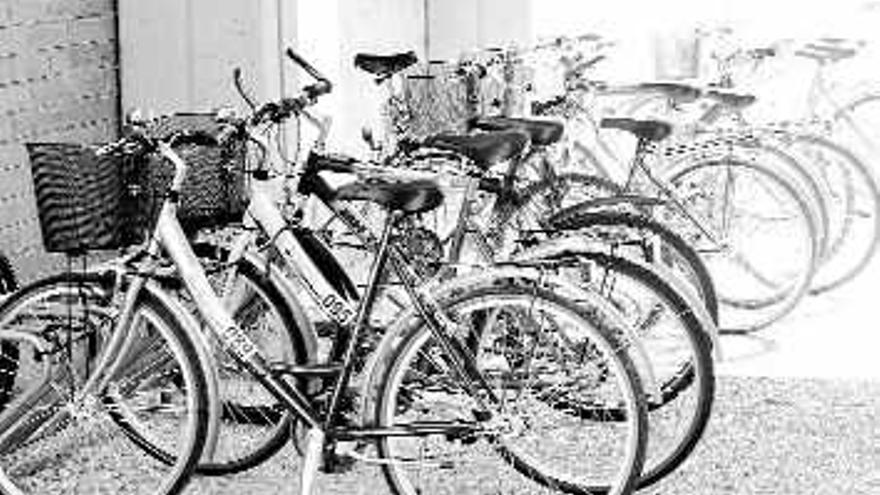 Las bicicletas, aparcadas ayer en el campus de Espinardo