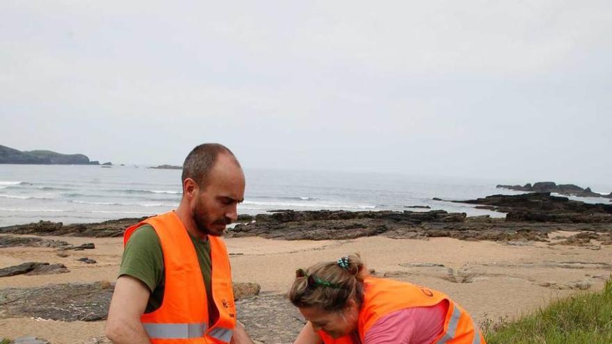 Dos voluntarios, ayer, en la playa de Verdicio.