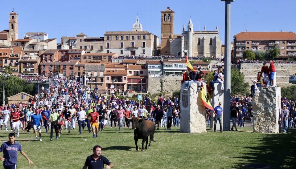 Celebración del Toro de la Vega en Tordesillas