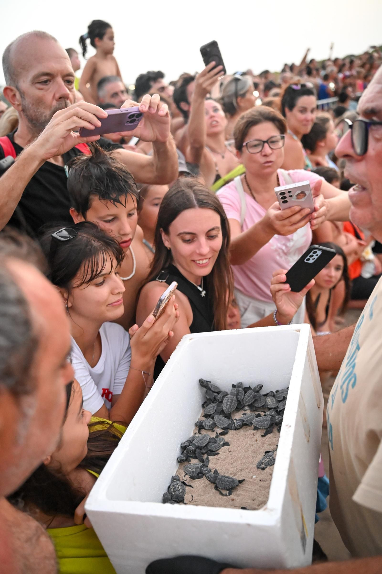 Gran expectación en Arenales del Sol por la suelta de 57 tortugas bobas recién nacidas