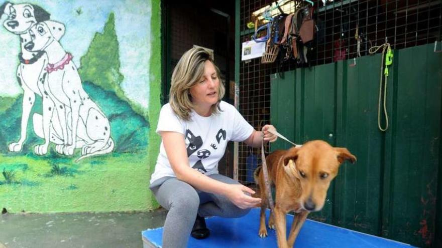 Olga Costa, con &quot;Quillo&quot;, en las instalaciones del refugio canino de Cambados. // FdV