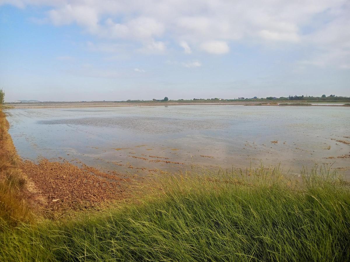 La primera inundación aporta humedad a la tierra para iniciar el ciclo de la siembra.