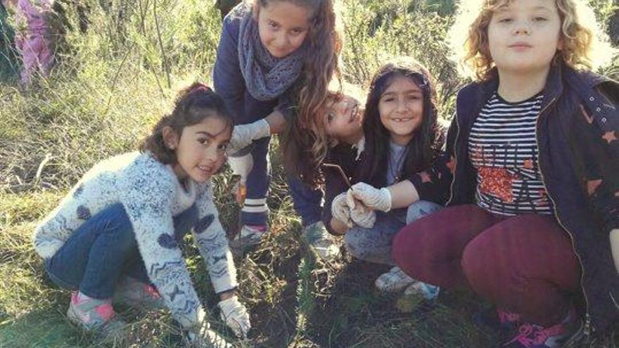 Los participantes de esta iniciativa han plantado 150 árboles en esta zona arrasada por un incendio ocurrido en 2011.
