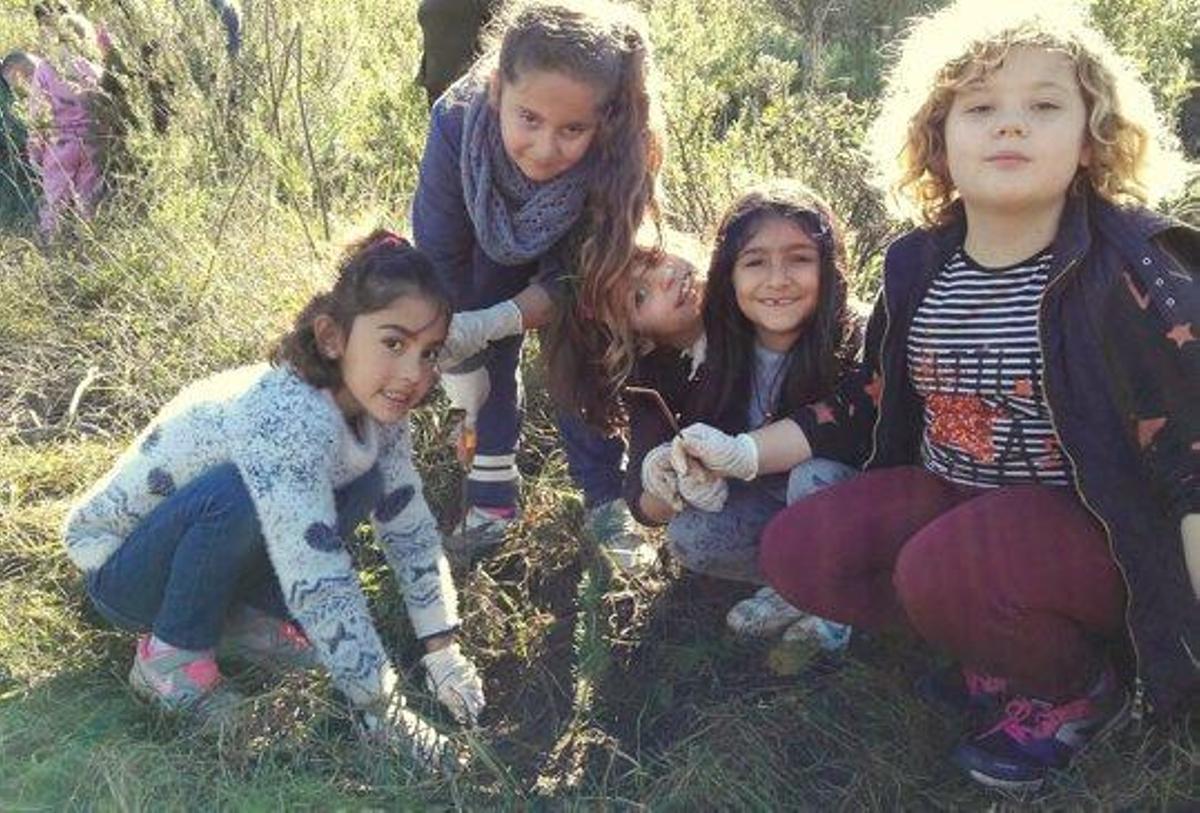Los participantes de esta iniciativa han plantado 150 árboles en esta zona arrasada por un incendio ocurrido en 2011.