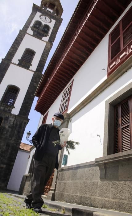 Domingo de Ramos , Semana Santa , Concepción de Santa Cruz y Candelaria  | 05/04/2020 | Fotógrafo: Delia Padrón