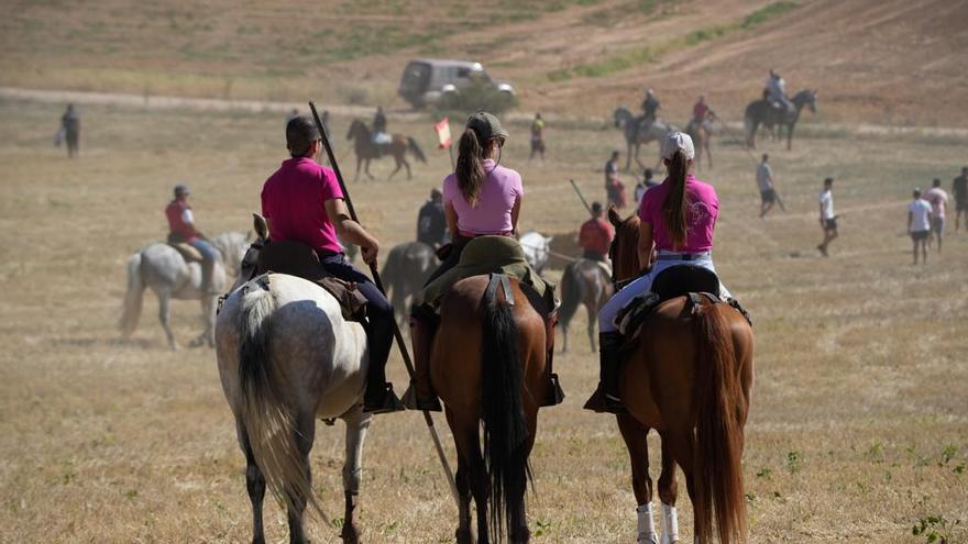 GALERÍA | Encierro campero en Coreses